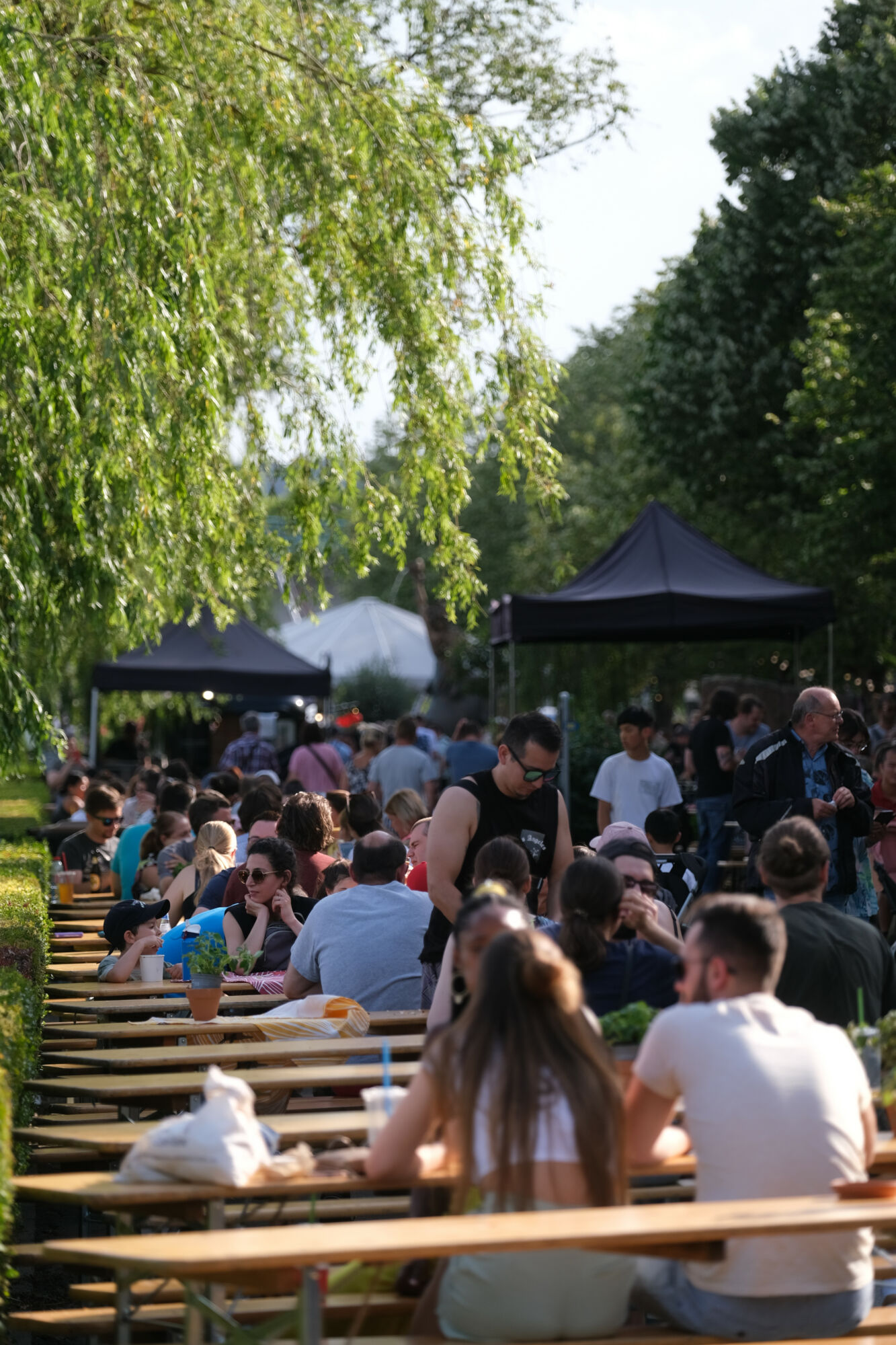 Street Food Festival