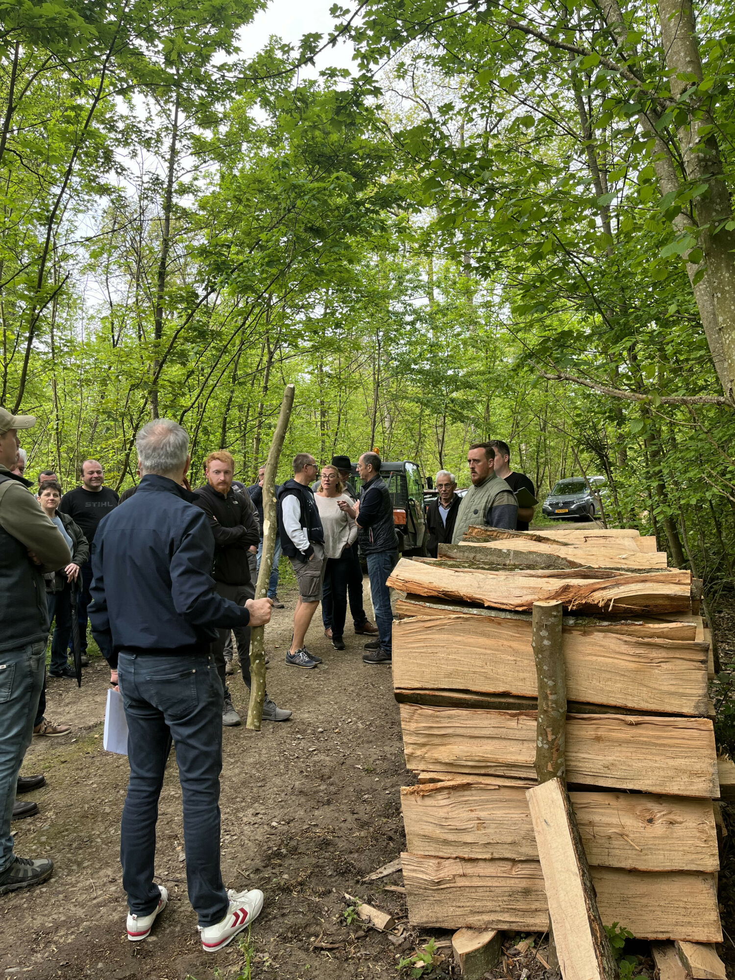 Holzversteigerung